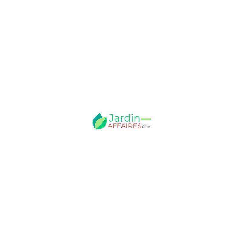 circlips 6.35mm cde par 10 - 74 - Vert Import