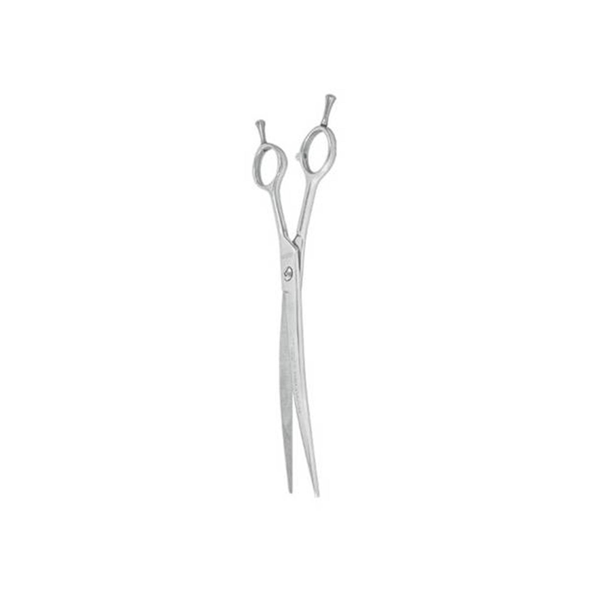 Ciseaux courbes Ehaso Revolution 21 cm EHASO