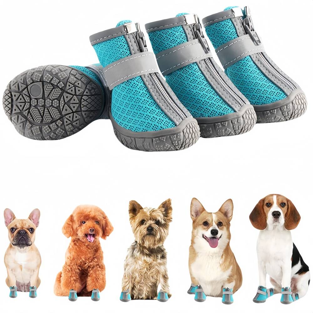 Chaussures de randonnée pour chien XL IntiMeg