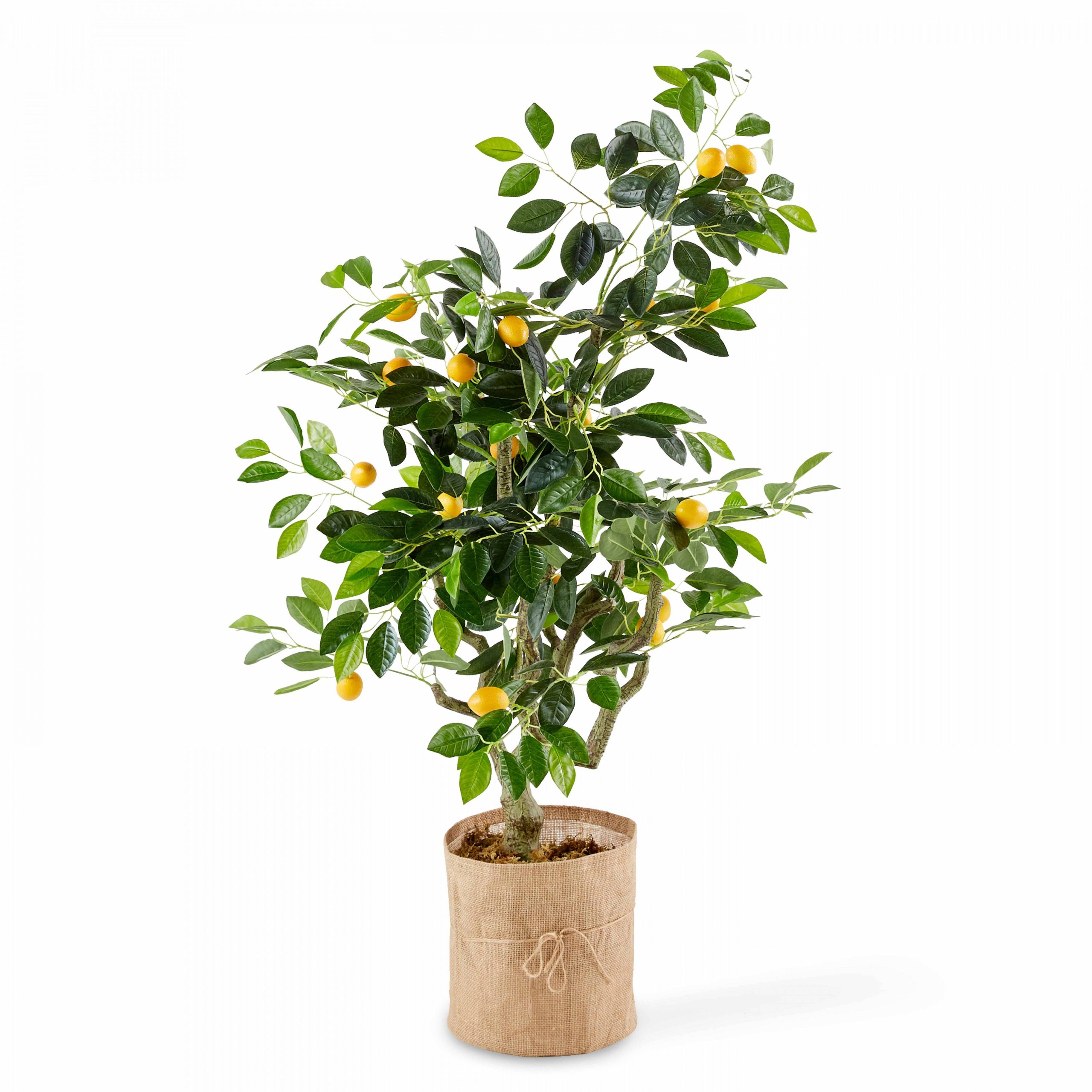 Citronnier artificiel - Oviala