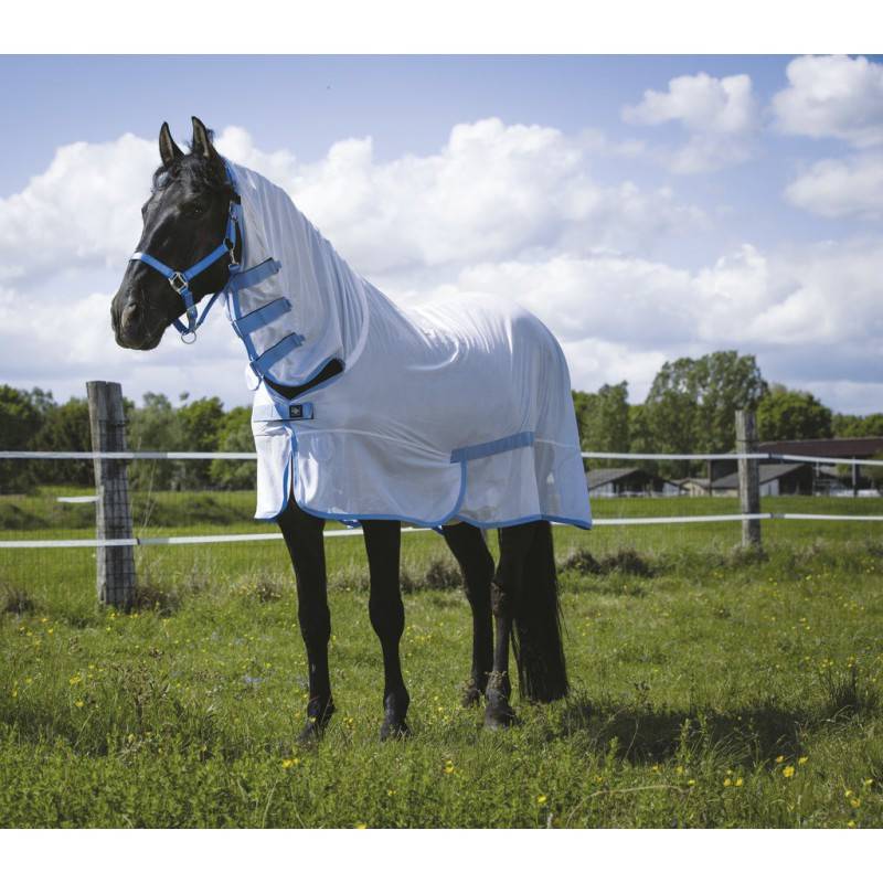Chemise Filet Cheval - Blanc et Bleu - Riding World Combo - taille 215