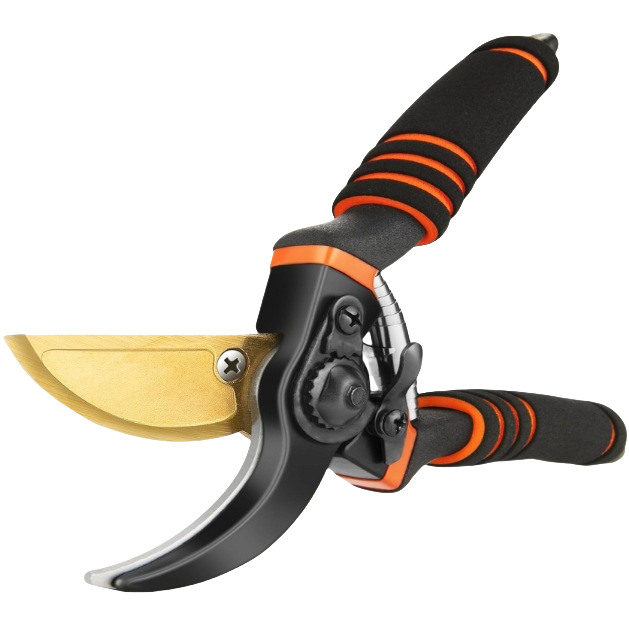 Ciseaux de jardin titane professionnels - Taille précise branches 2 cm - Poignées ergonomiques DtopbuyAge