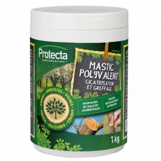 Protecta – Mastic polyvalent – 1kg