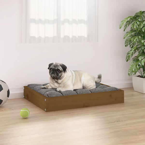 Cama para perros madera maciza pino marrón miel 615x49x9 cm Marrón miel  61.5 x 49 x 9 cm