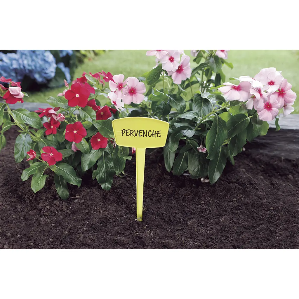 Nortene Etiquetas de color para plantar Label (x8) MULTICOLOR