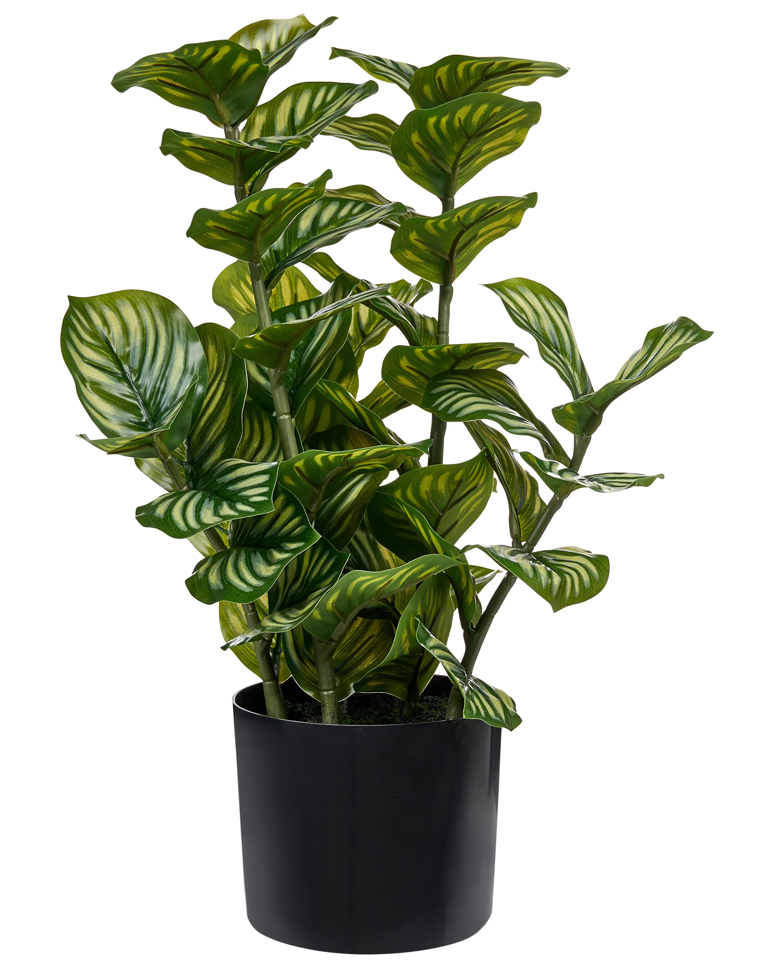 Planta artificial ORBIFOLIA 50 cm Verde