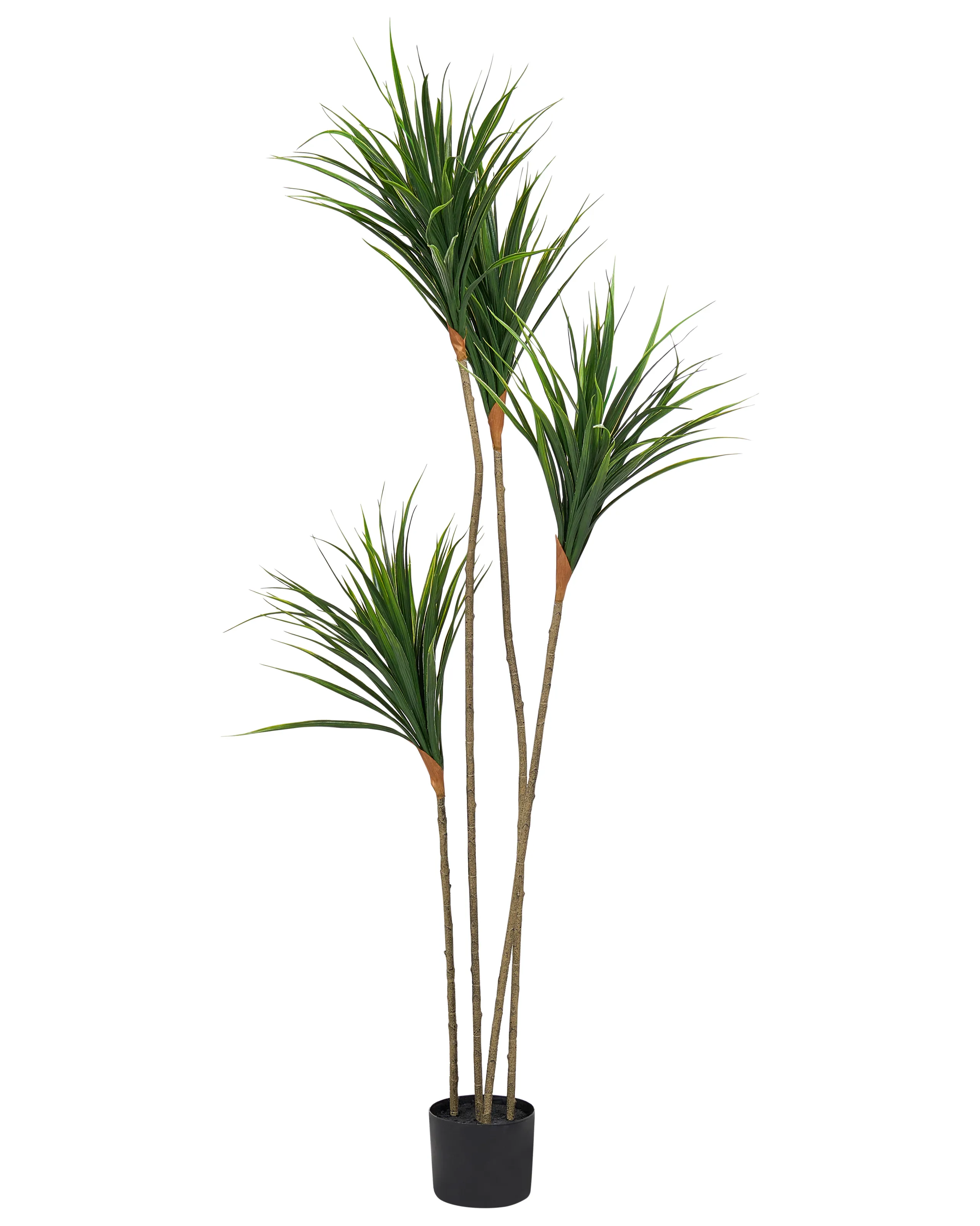 Planta artificial DRACAENA DRACO 165 cm Verde