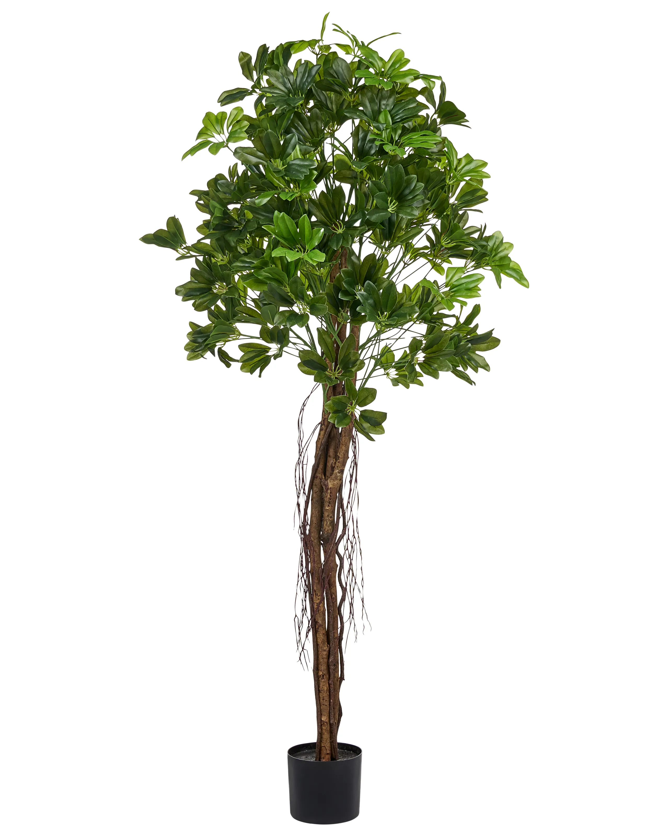Planta artificial UMBRELLA TREE 175 cm Verde