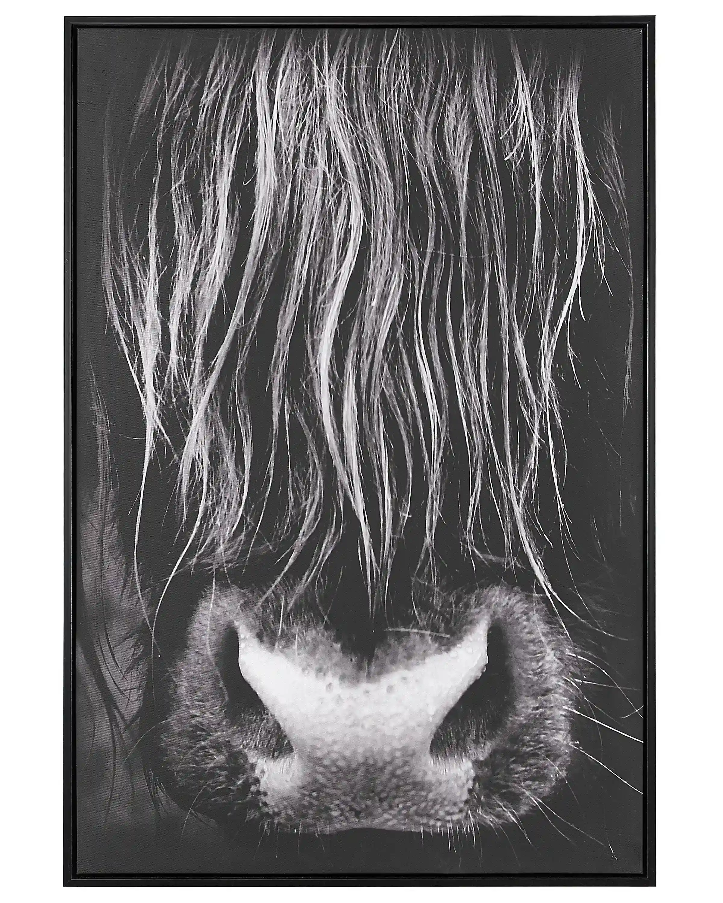 Lienzo GALEATA Motivo animal 63 x 99 cm Negro