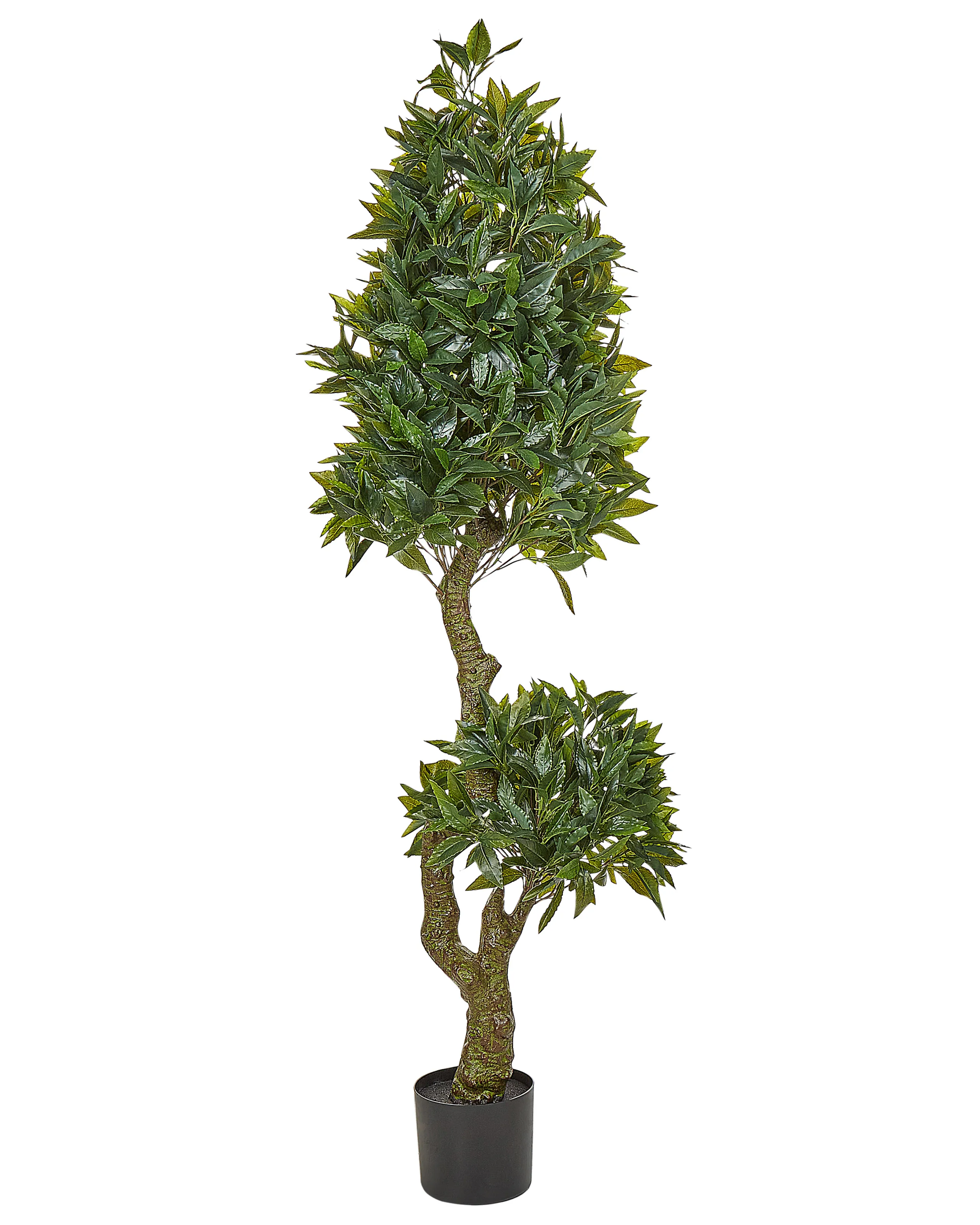 Planta artificial LAURELE 160 cm Verde