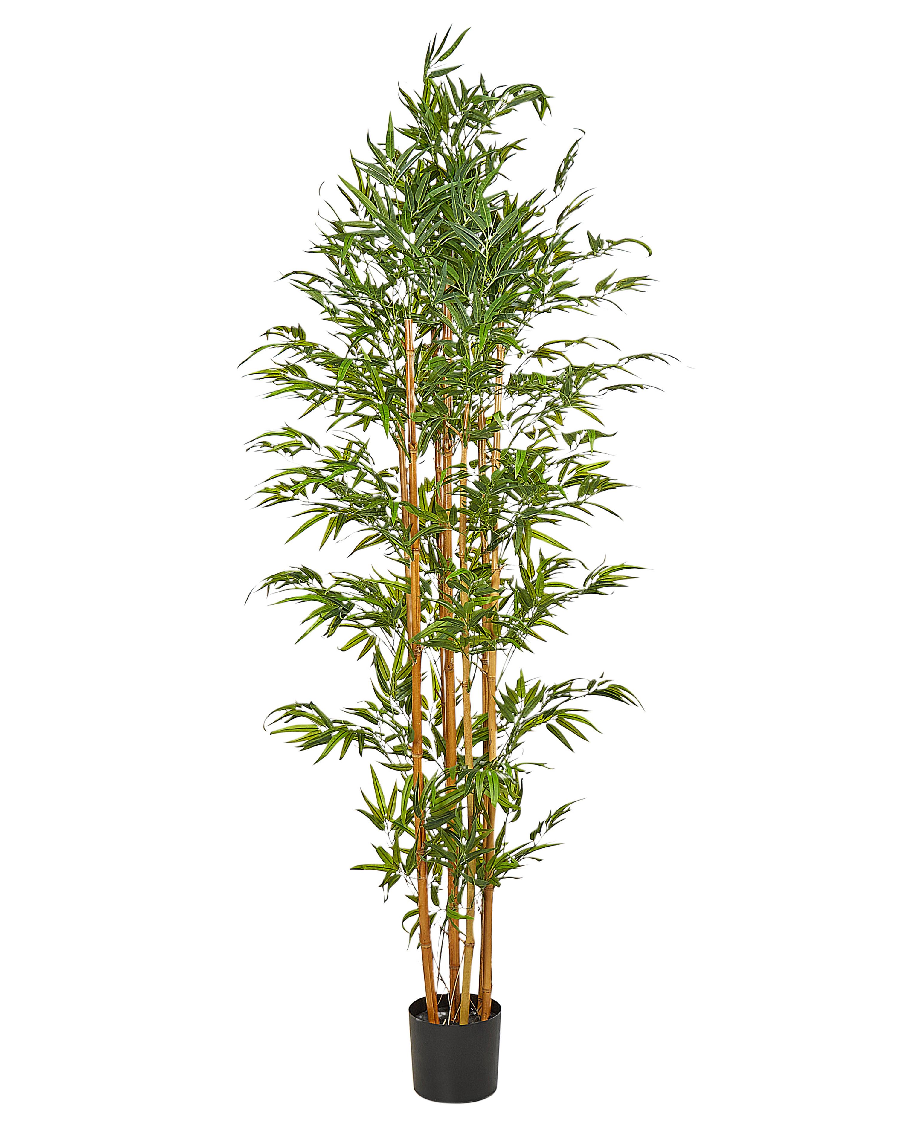 Planta artificial BAMBOO 220 cm Verde