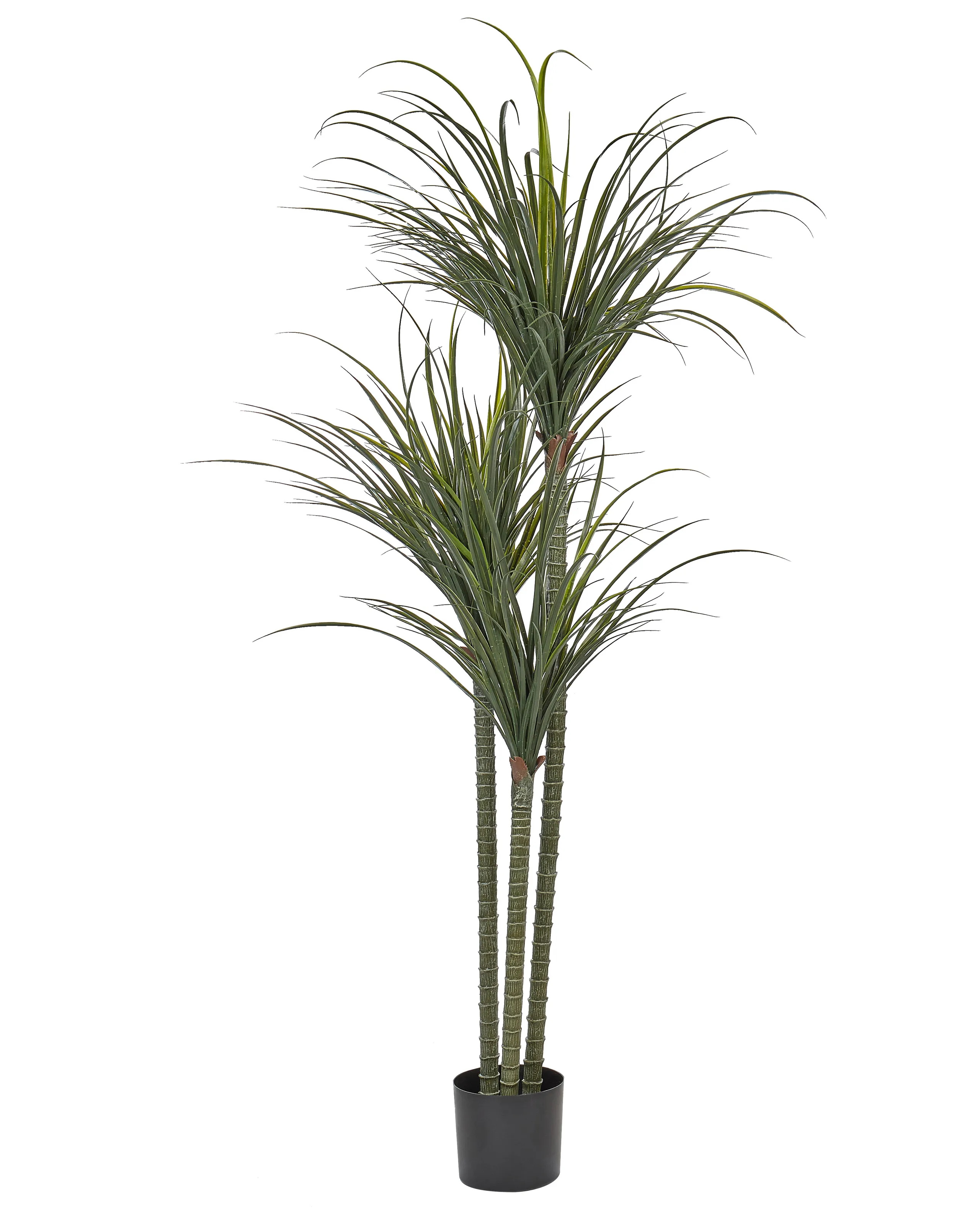 Planta artificial DRACAENA ANITA 198 cm Verde